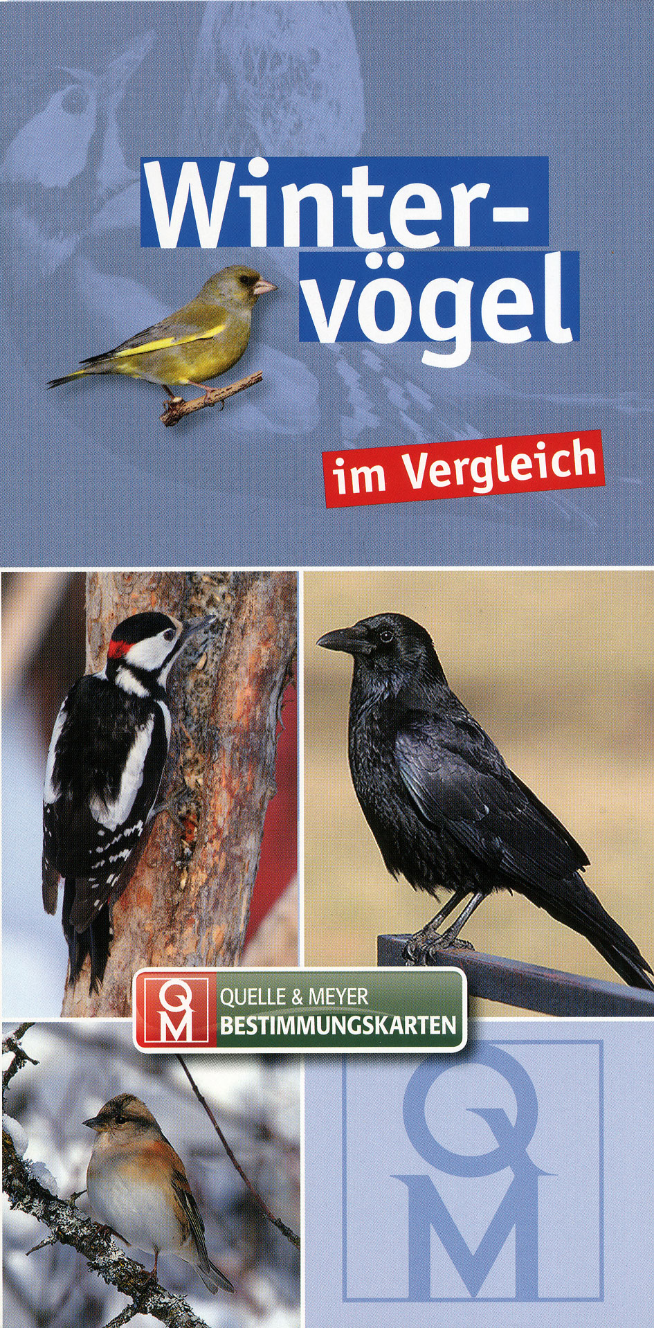 Jahresabonnement – Bild 2