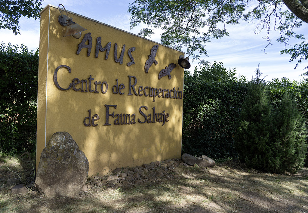 Amus Wildlife Recovery Center
