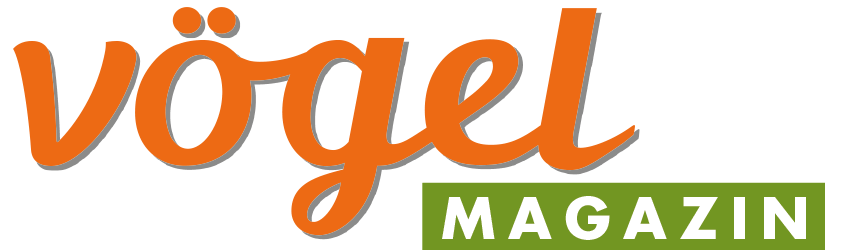 Vögel – Magazin für Vogelbeobachtung