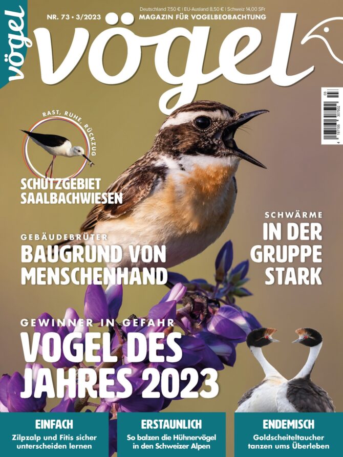 Vögel 3/2023