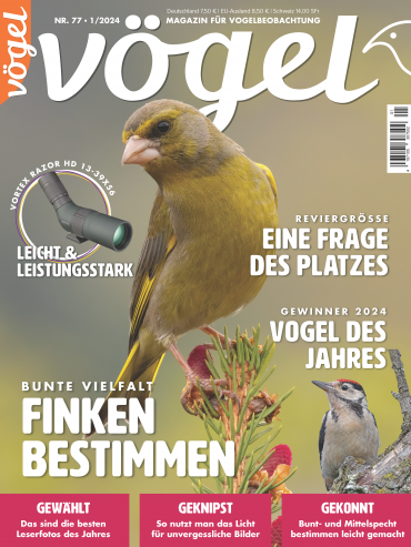 Vögel 1/2024