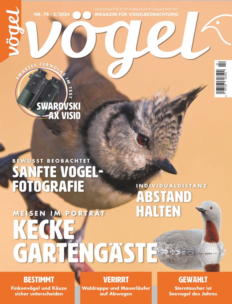 (c) Voegel-magazin.de