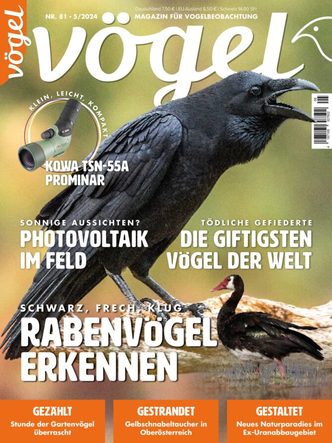 Vögel 5/2024