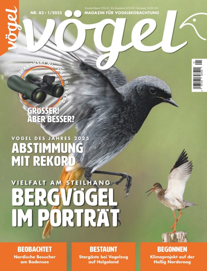 Vögel 1/2025