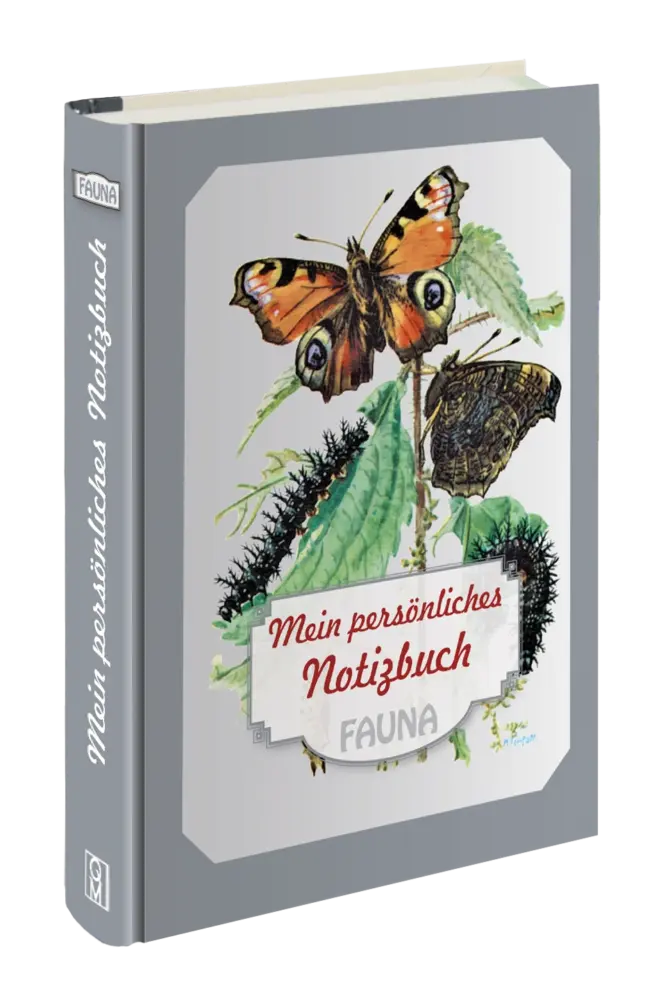 Test-Abonnement – Bild 3