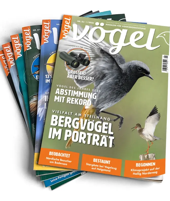 Jahresabo 6 Ausgaben