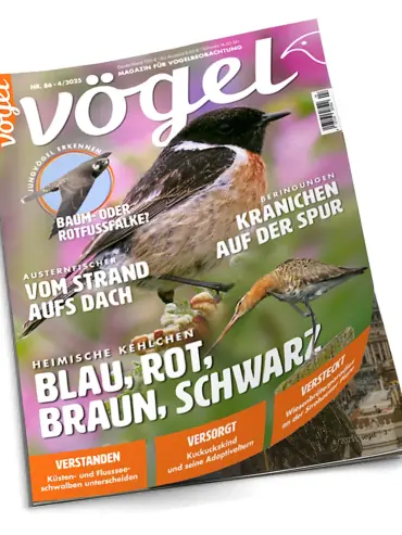 Probeheft Ausgabe 1/2025