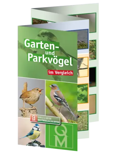 Bestkarte: Garten- und Parkvögel im Vergleich