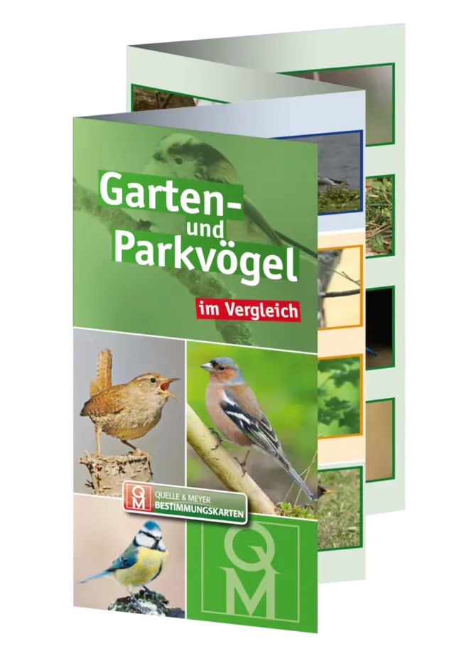 Bestkarte: Garten- und Parkvögel im Vergleich