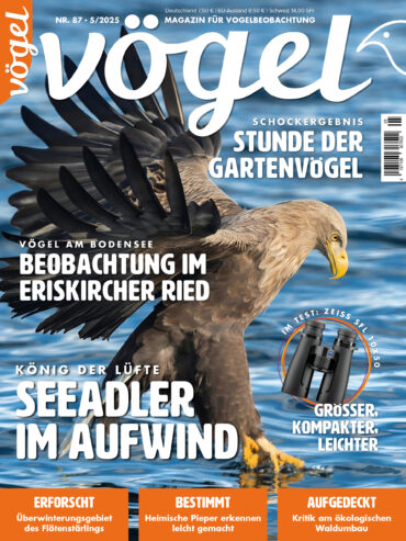 Vögel 5/2025