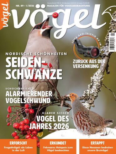 Vögel 1/2026