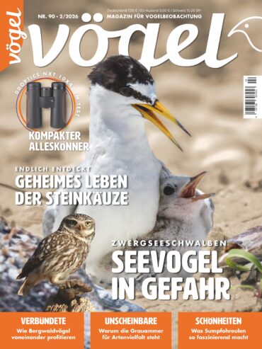Vögel 2/2026