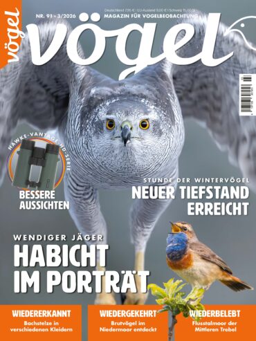 Vögel 3/2026