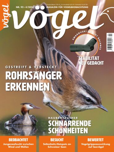Vögel 4/2026