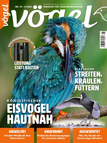 Vögel 5/2026